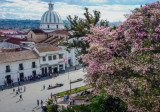 Contactos con chicas Popayán 2026 | Encuentros Colombia